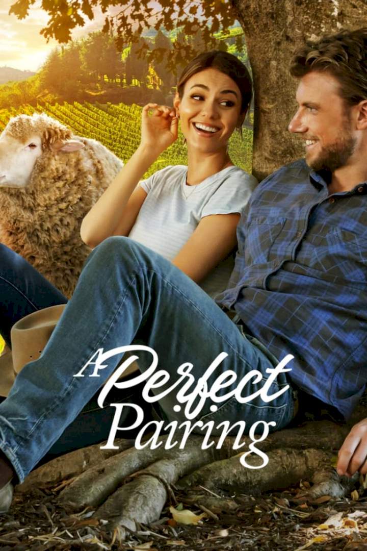 A Perfect Pairing (2022) Download Netnaija.cloud