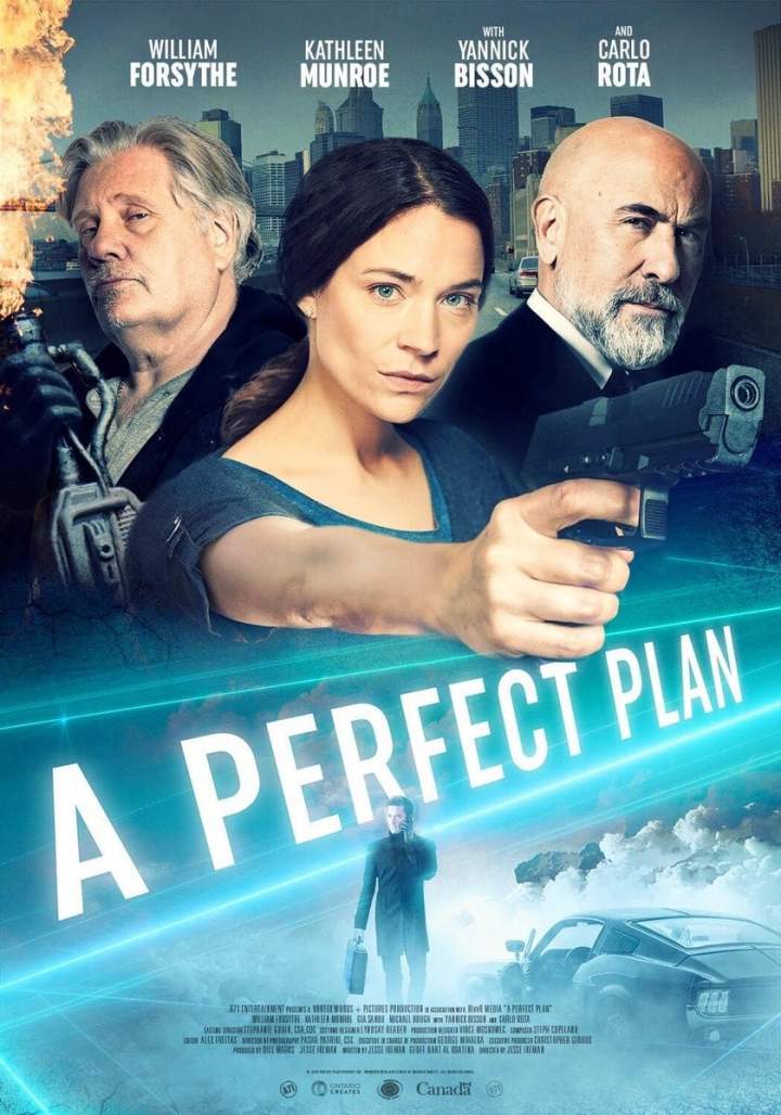 A Perfect Plan (2020) Download Netnaija.cloud