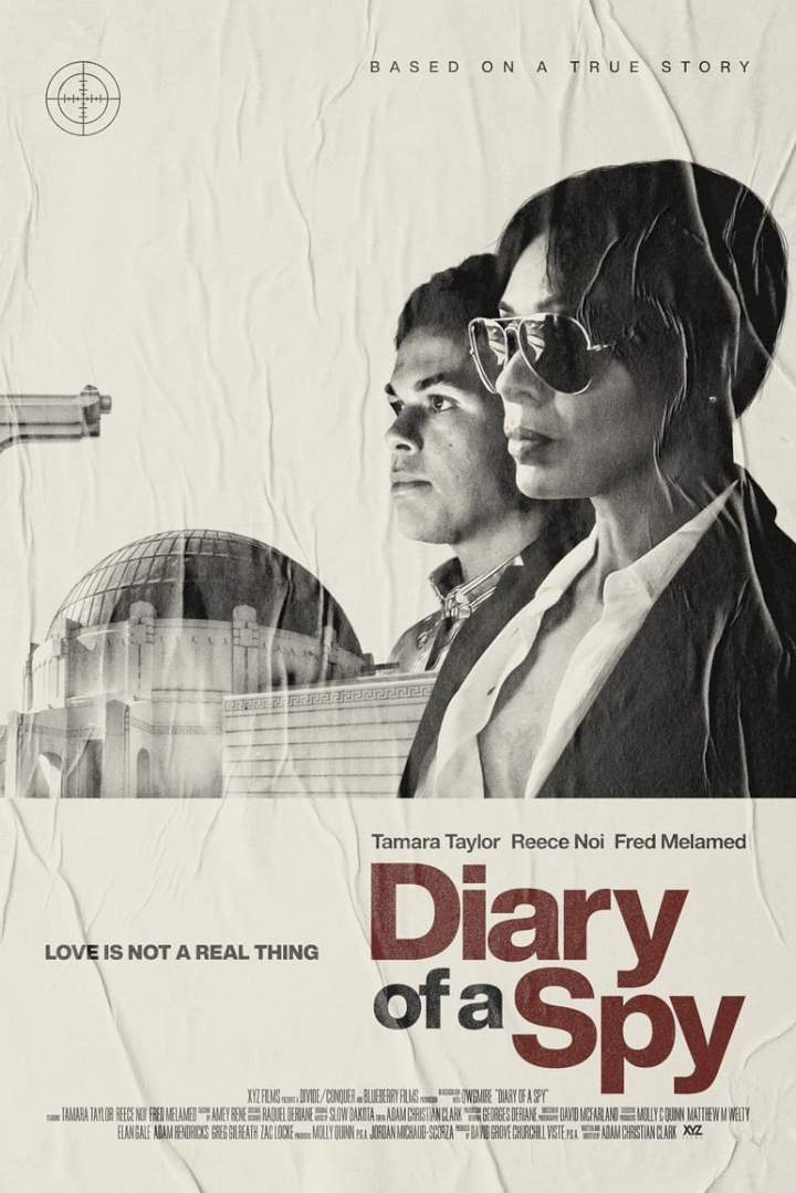 Diary of a Spy (2022) Download Netnaija.cloud