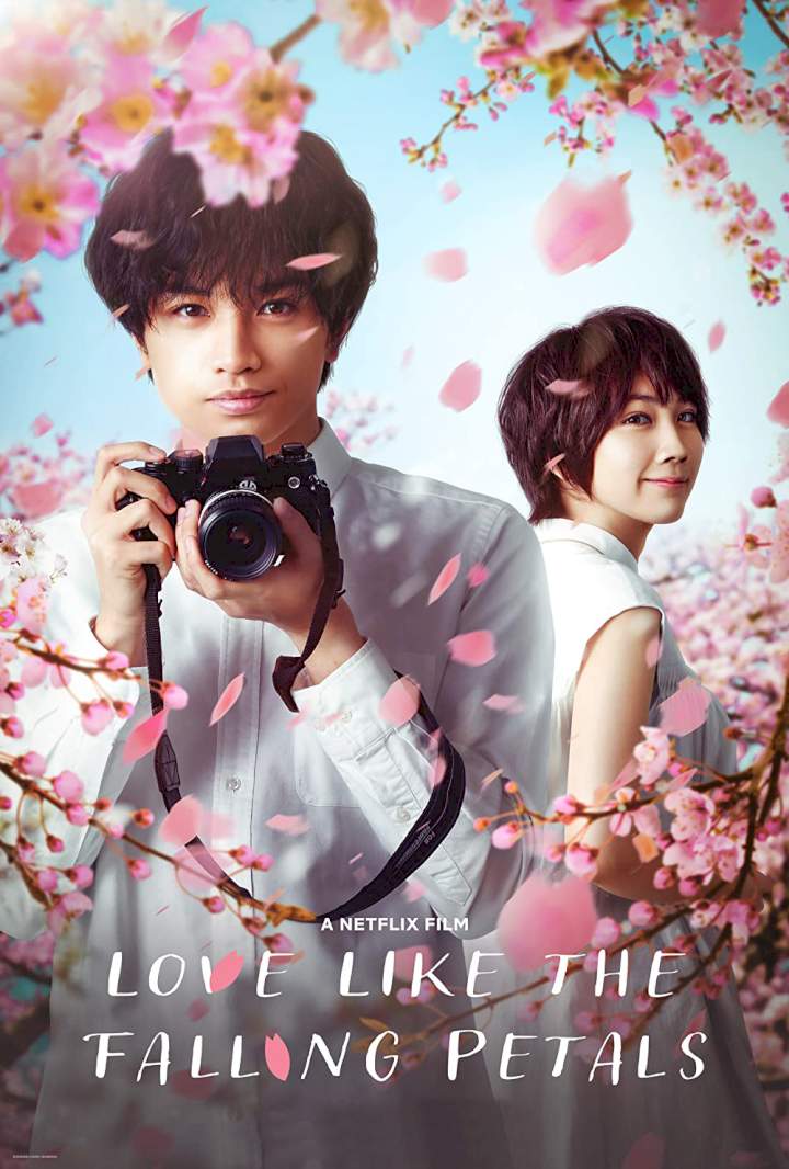 Love Like the Falling Petals (2022) Download Netnaija.cloud