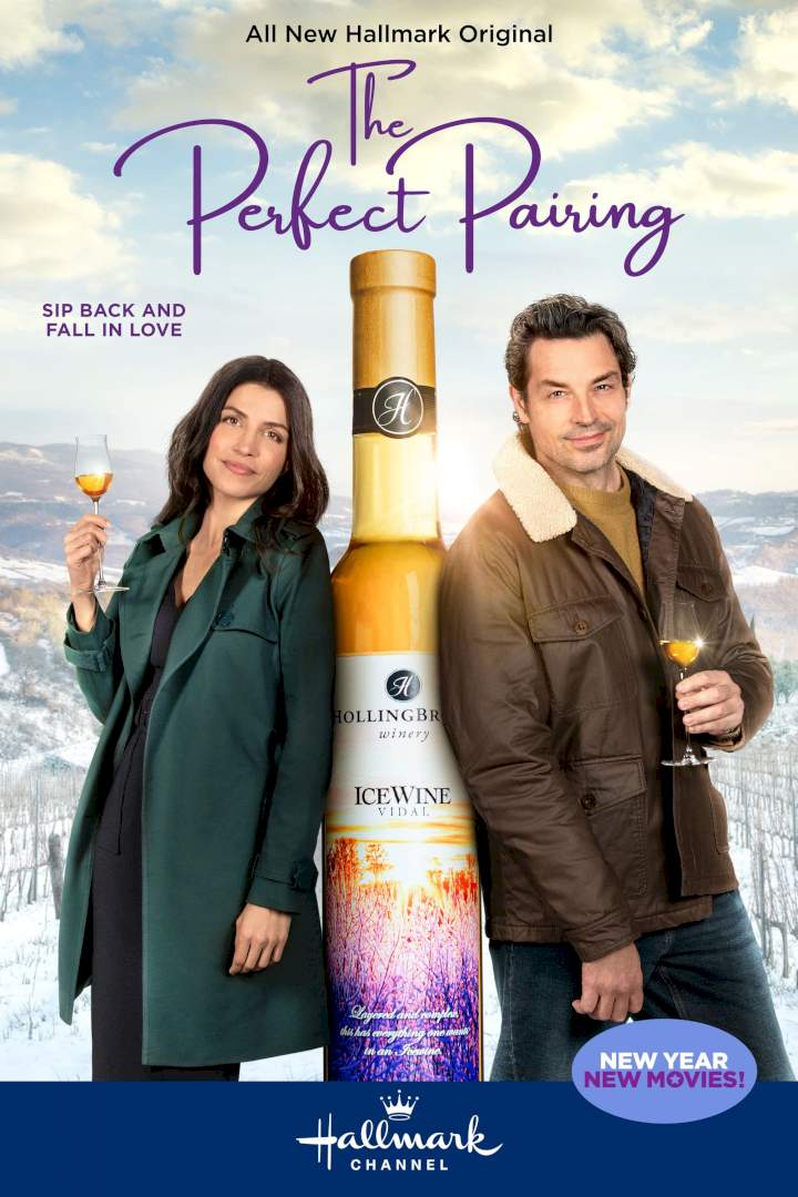 The Perfect Pairing (2022) Download Netnaija.cloud