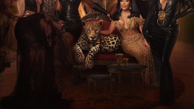 The Real Housewives of Atlanta Season 17 Series Download |