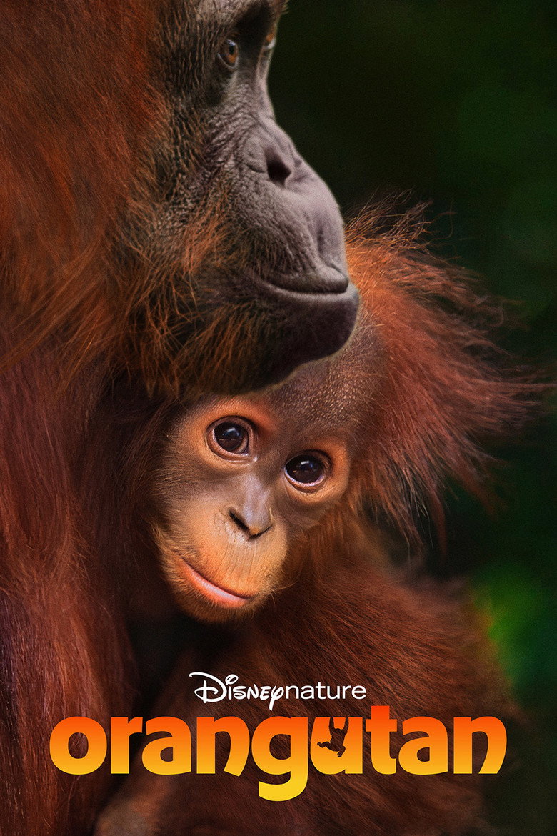 Orangutan (2026)
